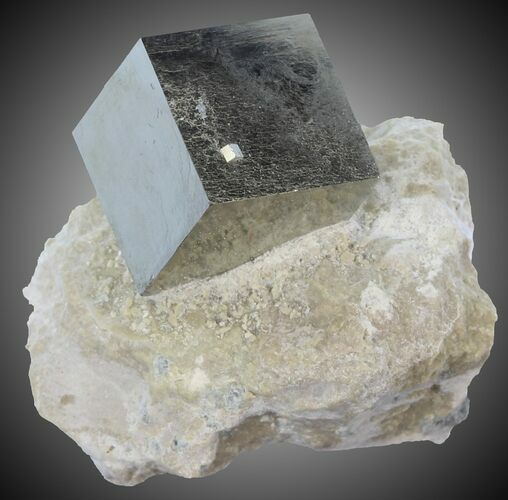 Pyrite Cube on Matrix - Navajun, Spain #30969